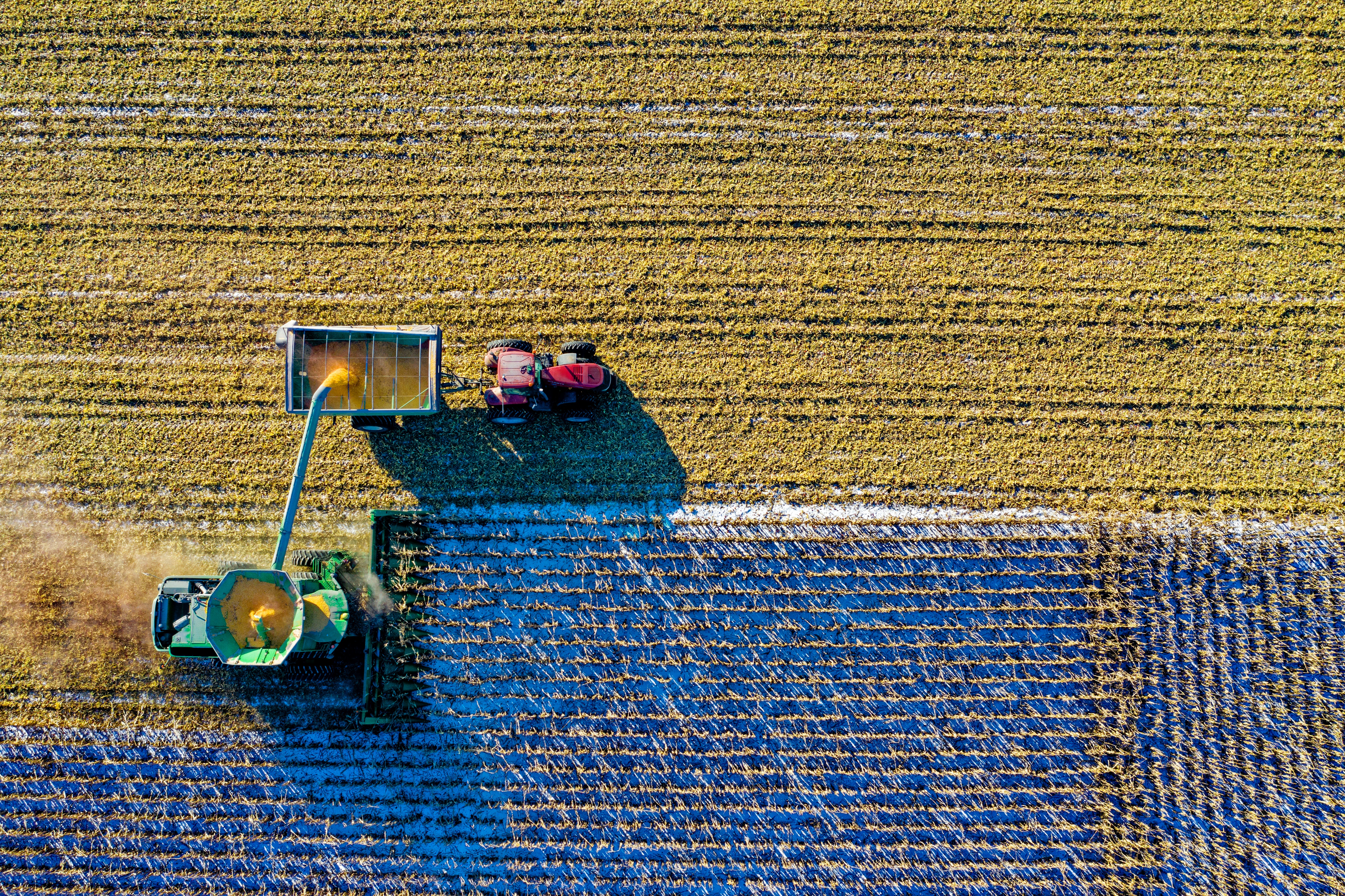 crops